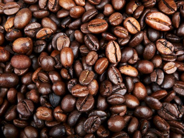 The image shows a close-up of numerous roasted coffee beans.