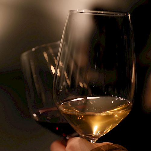 Two wine glasses with white and red wine are being held up against a blurred and dimly lit background.