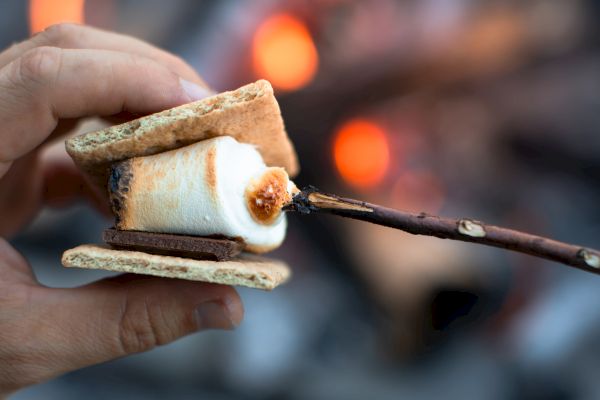 A hand holds a s'more near a campfire, with a toasted marshmallow on a stick placed between graham crackers and chocolate.