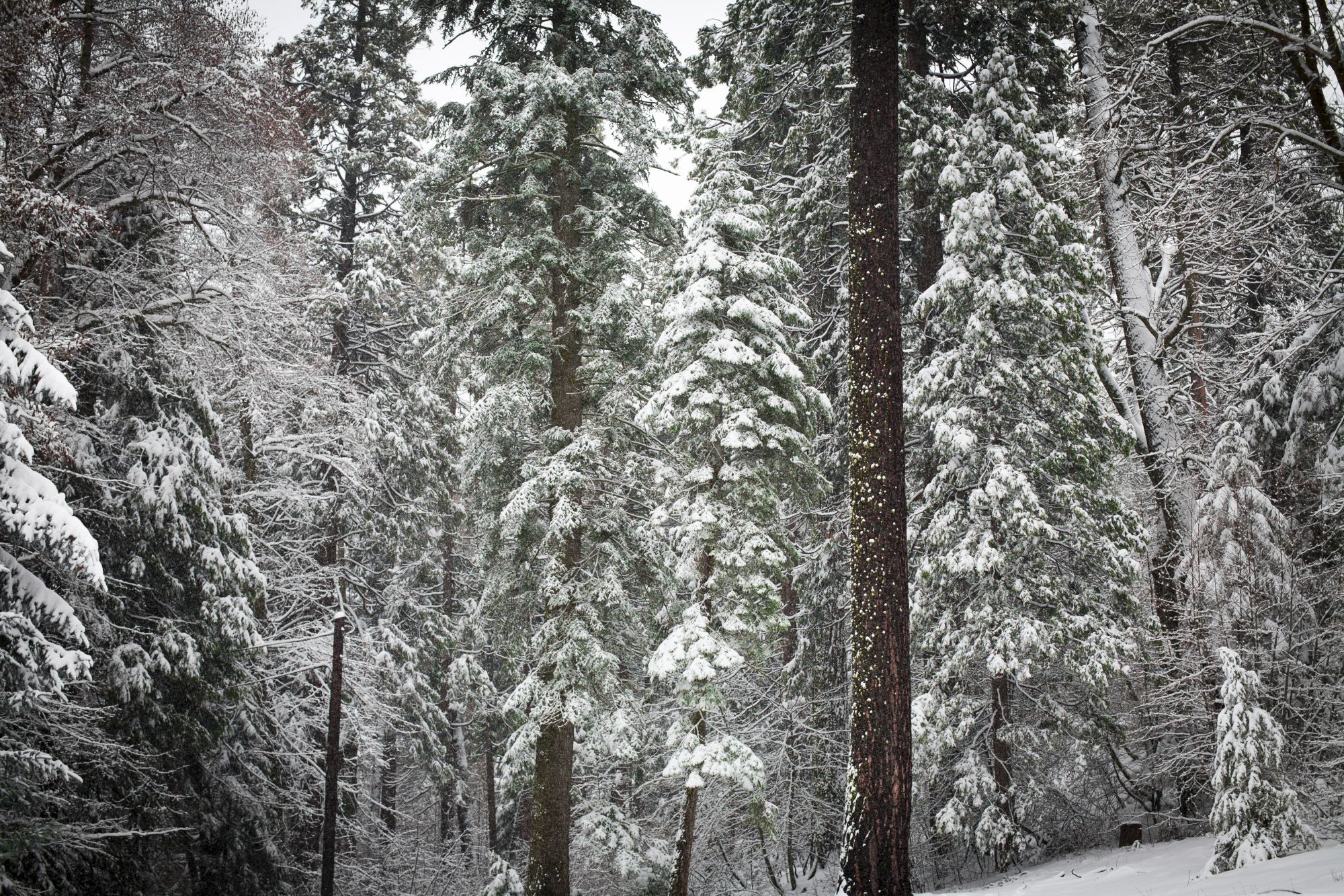 Lake Arrowhead Resort & Spa