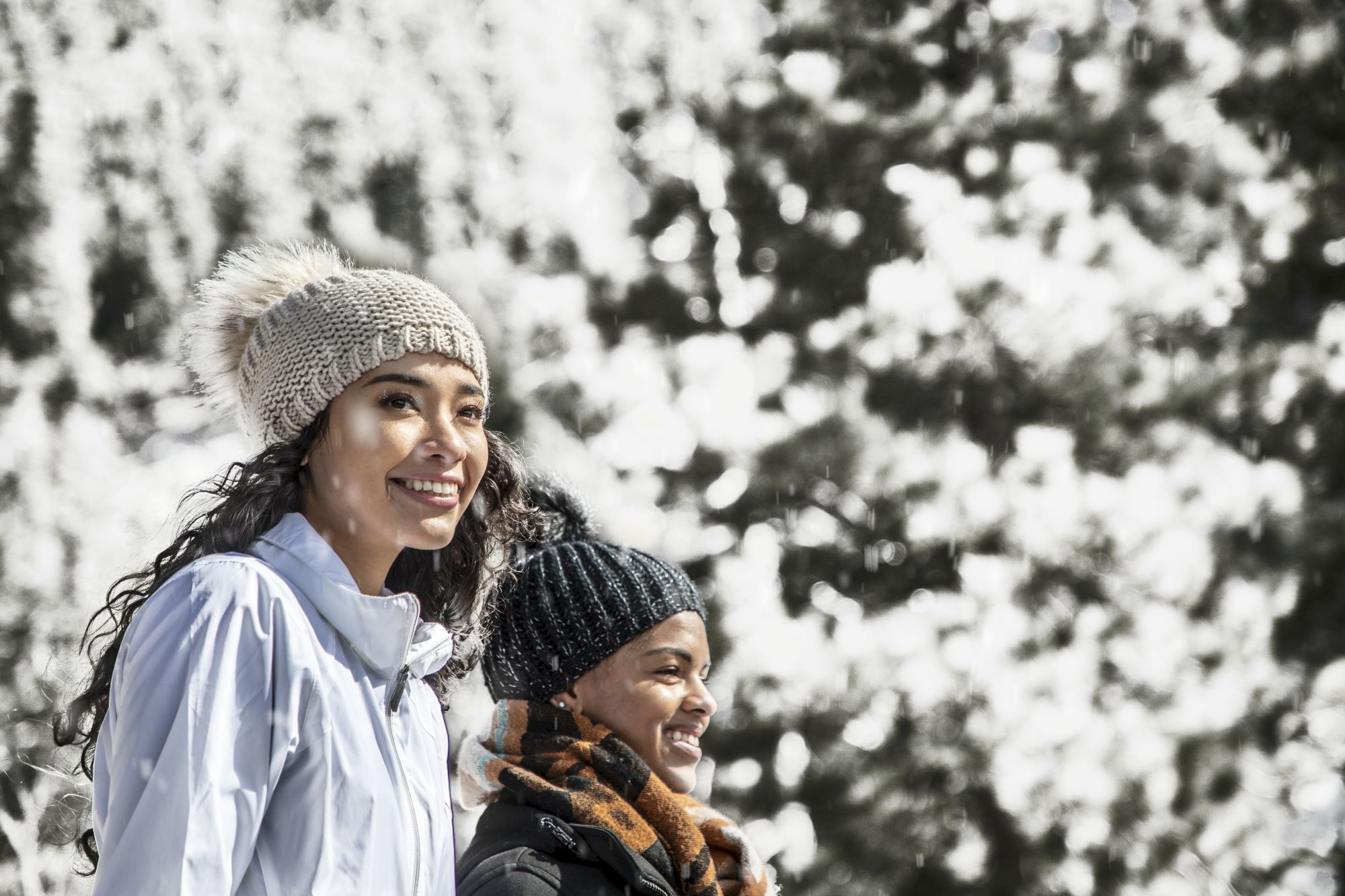 Lake Arrowhead Resort & Spa